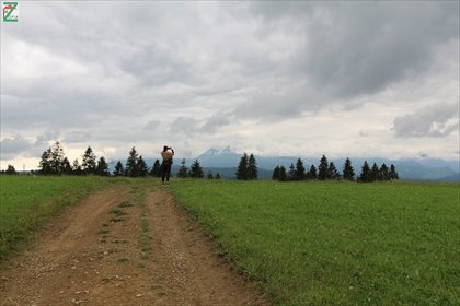 działka na sprzedaż 3500m2 działka RZEPISKA