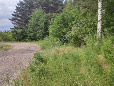 Polecam działkę 1754 m² z mediami, lasem i planem zabudowy działka Stara Wieś