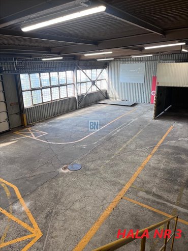 lokal użytkowy na wynajem 516m2 lokal użytkowy Katowice