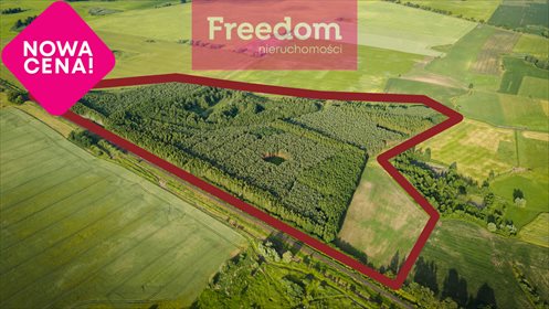 Działka leśna na sprzedaż Parys 205 000m2 Foto 1