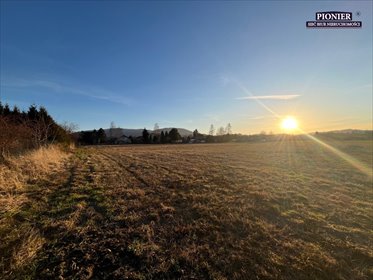 działka na sprzedaż 19900m2 działka Ustroń