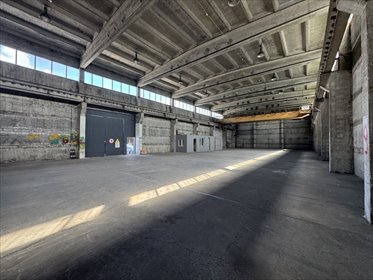Magazyn 777m|suwnica 8T| TIR| Targówek – od zaraz magazyn Warszawa, Targówek, Targówek Fabryczny, Zabraniecka