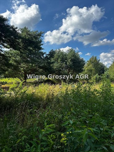 działka na sprzedaż 1490m2 działka Kaliszki, Kaliszki