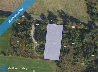 działka na sprzedaż 3095m2 działka Dębogórze