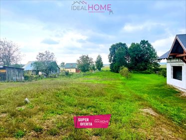 Działka budowlana na sprzedaż Dąbrowica 3 500m2 Foto 1