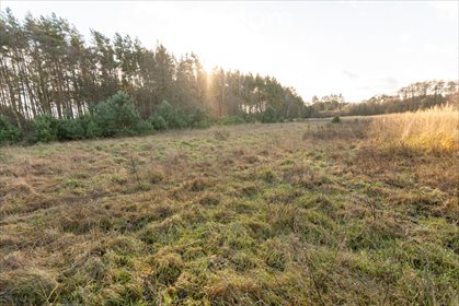 działka na sprzedaż 1196m2 działka Kotuń