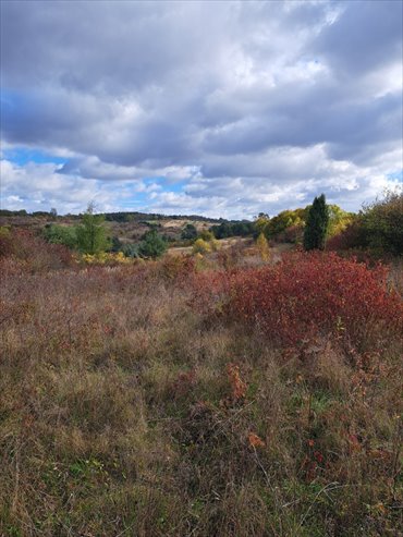 Działka budowlana na sprzedaż Kolbark, Kolbark, Grabowa 2 000m2 Foto 2