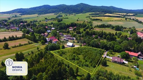 działka na sprzedaż 5300m2 działka Laski