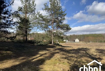 działka na sprzedaż 1700m2 działka Krzyż