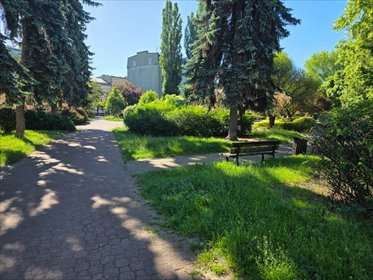 Przestronne 2-pokojowe mieszkanie 48,6 m² w centrum Częstochowy mieszkanie Częstochowa, Centrum