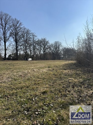 Działka 2878 m² - Nasutów przy Alei Lipowej - idealna pod domy działka Nasutów, Aleja Lipowa, Aleja Lipowa