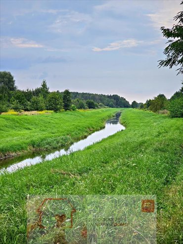 działka na sprzedaż 21100m2 działka Dąbrowa