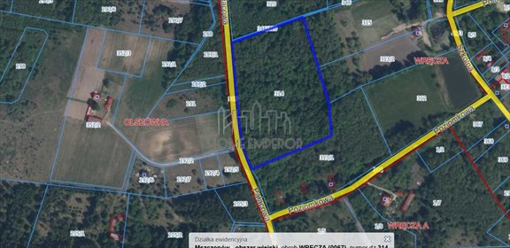 Działka 28 120 m² z planem zagospodarowania (Wręcza) działka Wręcza, Pałacowa
