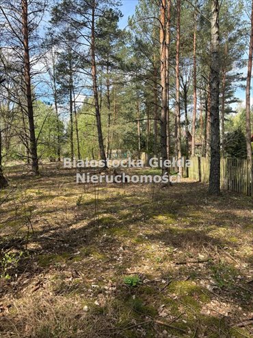 Działka rekreacyjna 1054 m² nad Pisą w Balikach. działka Baliki