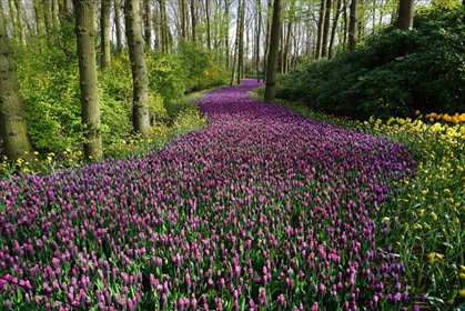 działka na sprzedaż 54100m2 działka Wojtkowice-Dady