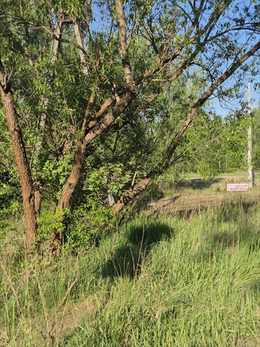 Sprzedam działkę budowlaną 854 m² w Pyskowicach działka Pyskowice, Dzierżno, Wiejska