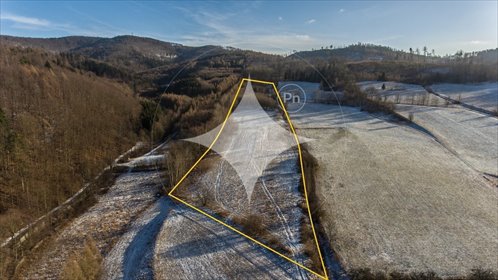 działka na sprzedaż 41000m2 działka Wojciechowice