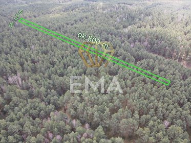 Działka leśna 6 989 m² z unikalnym charakterem w Prusicku działka Prusicko