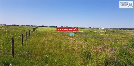 działka na sprzedaż 21800m2 działka Łubnice, Przeczów