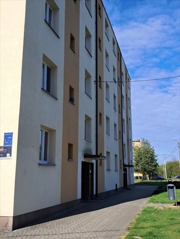 Przytulna kawalerka z parkingiem i piwnicą w Nowym Mieście mieszkanie Nowe Miasto Nad Pilicą