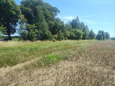 Na sprzedaż działka inwestycyjno-komercyjna 36 000 m² w Burkat działka Burkat
