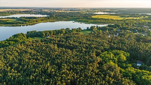 Twój kawałek lasu nad jeziorem Wieleńskim MPZP! działka Osłonin