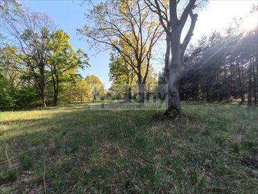 Działka 1951m² w Jabłonnie las, media, cisza polecam działka Jabłonna