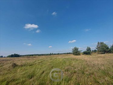 Polecam działkę budowlaną 886 m² z warunkami zabudowy działka Osiedle Poznańskie