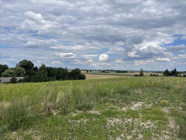 Działka 10 arów z panoramicznym widokiem w Cegłówku działka Sława