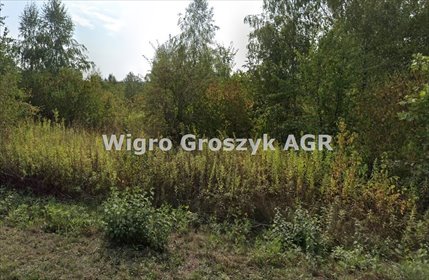 Do sprzedania działka 12048 m² z widokiem na Wisłę i media działka Wólka Przybójewska