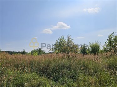 Polecam działkę 1345 m² w Szymanowie - las, jeziora, cisza działka Szymanowo