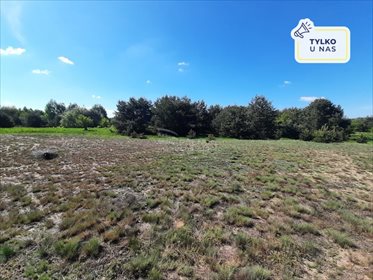 Działka inwestycyjna na sprzedaż Praga 14 000m2 Foto 1
