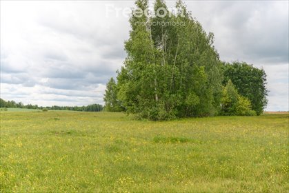 działka na sprzedaż 23251m2 działka Aleksandrowo