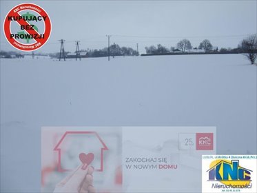 działka na sprzedaż 3000m2 działka Krzczonów-Wójtowstwo