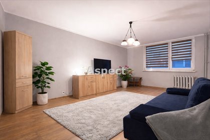 mieszkanie na wynajem 32m2 mieszkanie Zabrze, Osiedle Kotarbińskiego