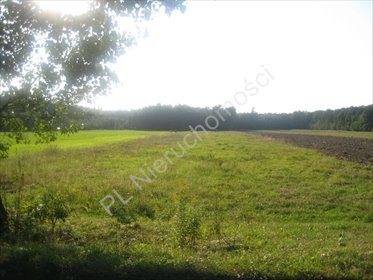 działka na sprzedaż 36500m2 działka Retniowiec