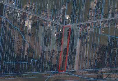 Działka budowlana na sprzedaż Bargły 17 740m2 Foto 6