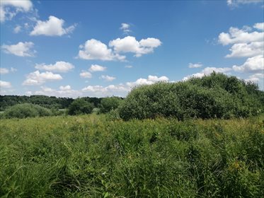 Działka rolna na sprzedaż Krąplewo 9 213m2 Foto 3