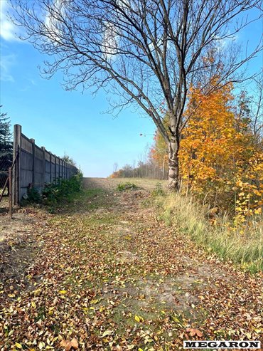 Duża działka pod zabudowę wielorodzinną w Kiedrzynie (10 853 m²) działka Częstochowa, Kiedrzyn