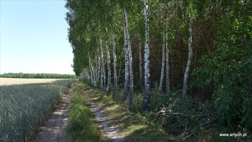 Sprzedam działkę leśną 2,2 ha z księgą wieczystą działka Teofilówka