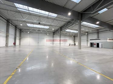 Hala 2500 m2 z dokami, ogrzewanie, własne trafo magazyn Kraków, Rybitwy, Rybitwy