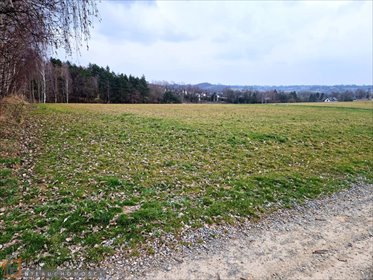 działka na sprzedaż 1000m2 działka Masłomiąca