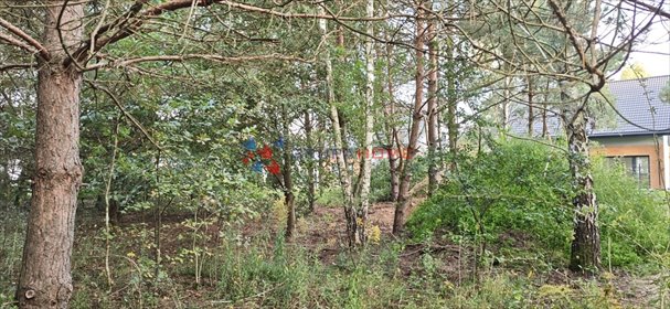 Sprzedam działkę 1200 m² w Łoś z lasem i mediami działka Łoś