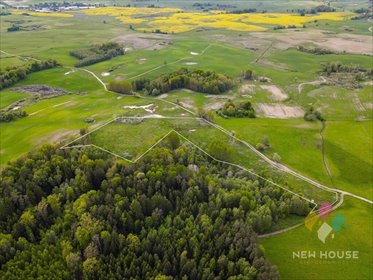Malownicza działka 3,81 ha z możliwością stawu i zabudowy działka Próle