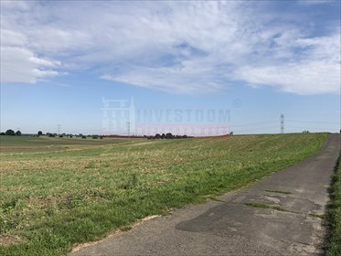 Działka inna na sprzedaż Dobieszowice 2 550m2 Foto 2