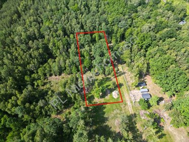 działka na sprzedaż 3000m2 działka Adamowizna