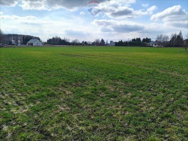 działka na sprzedaż 1558m2 działka Miszewko Strzałkowskie