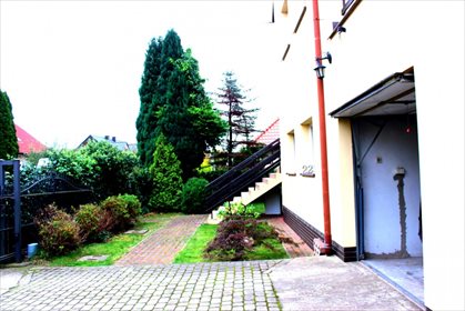 Dom na sprzedaż Pierwoszyno, Śliwkowa 485m2 Foto 2