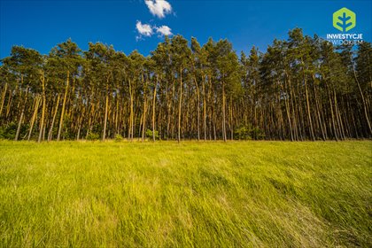 Na sprzedaż działka 502 m² w Zielonej Górze z lasem działka Zielona Góra, Łężyca, Ostatnie działki w tej cenie - 11 km od Zielonej G