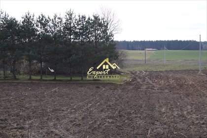 Działka 7 700 m² pod zabudowę w Lasecznie, atrakcyjna cena działka Laseczno
